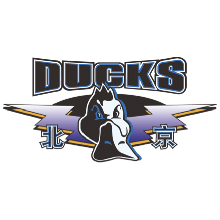 蒙得维的亚流浪者